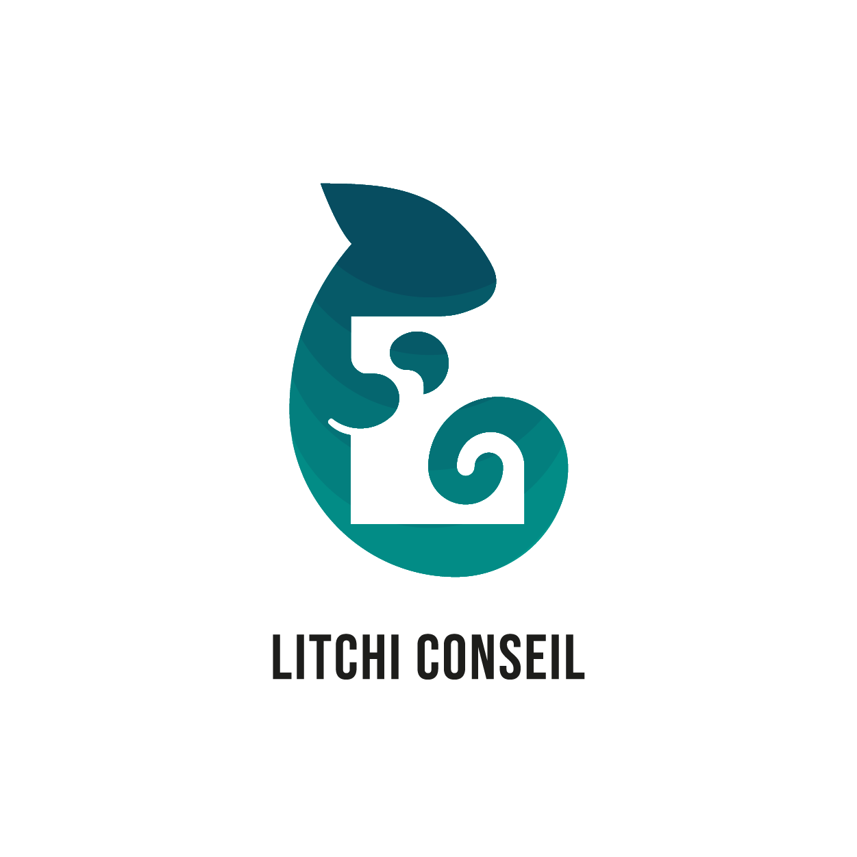 logo-litchiconseil