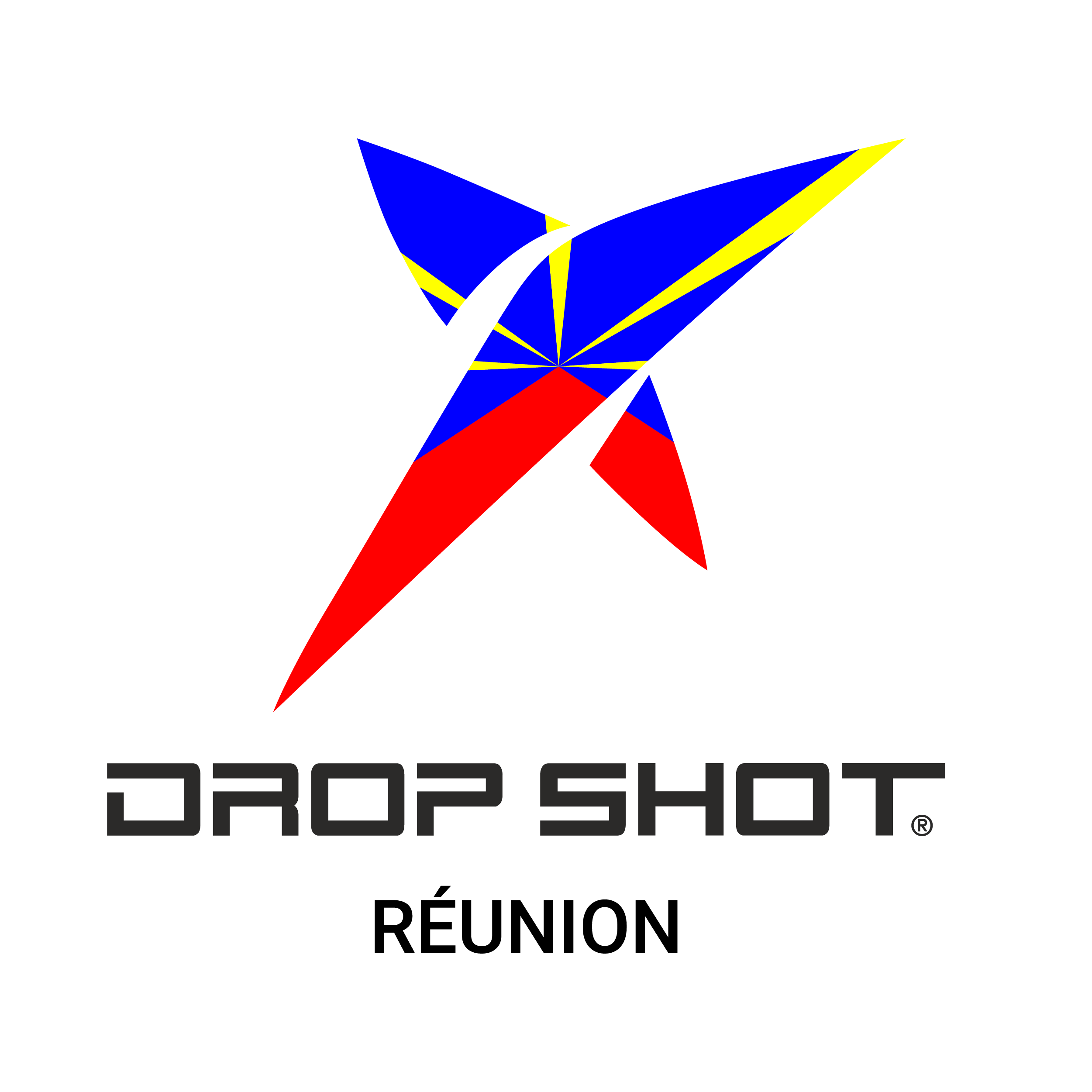 logo-dropshot-reunion
